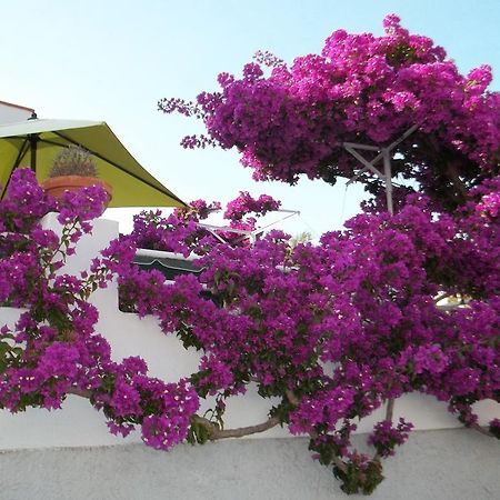 Hotel Villa Cecilia Ischia Buitenkant foto