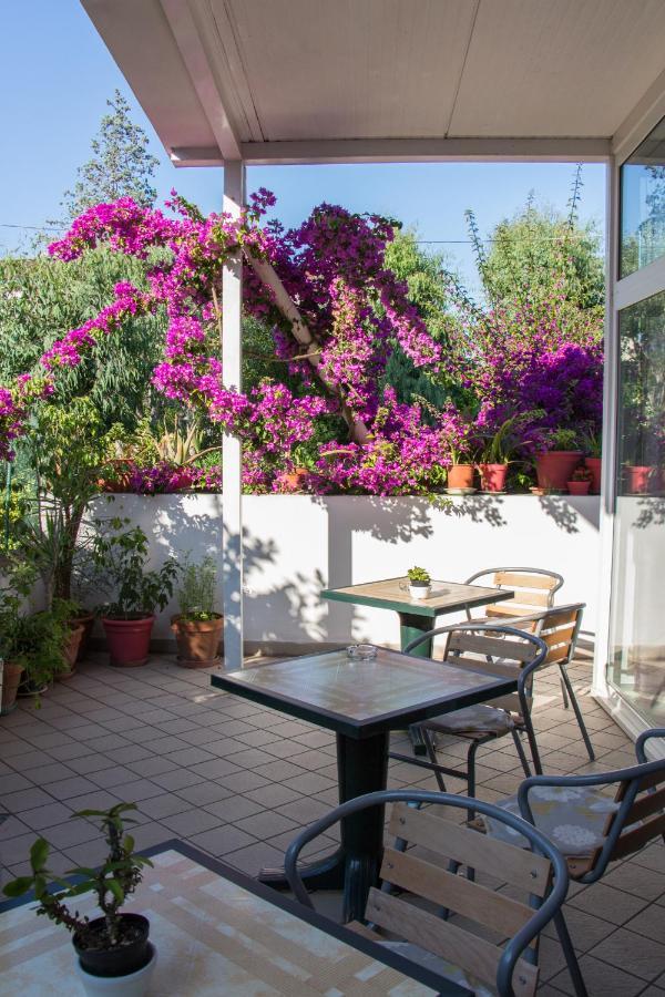 Hotel Villa Cecilia Ischia Buitenkant foto