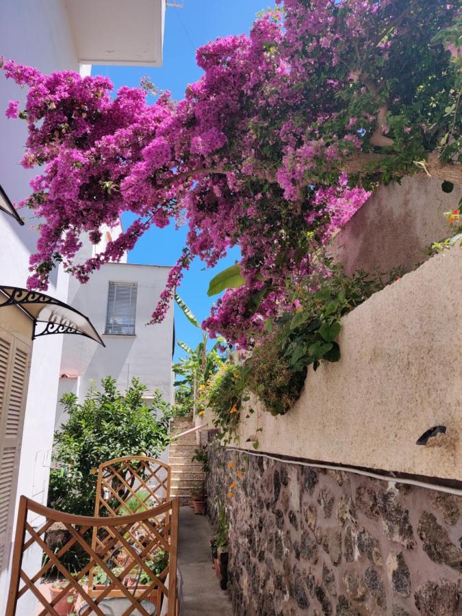 Hotel Villa Cecilia Ischia Buitenkant foto