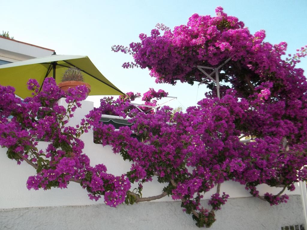Hotel Villa Cecilia Ischia Buitenkant foto